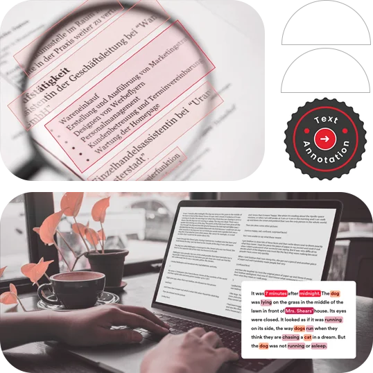 AI Text Annotation Services for Accurate NLP Model Development